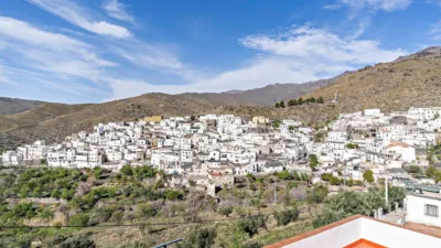 Attic at Calle Castillo, 5 photo 74
