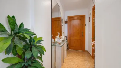 Apartment on Calle Mayor photo 23