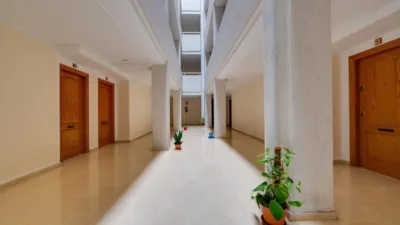 Apartment on Calle Mayor photo 27