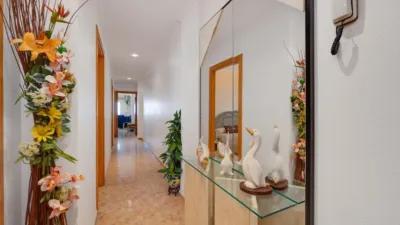 Apartment on Calle Mayor photo 24