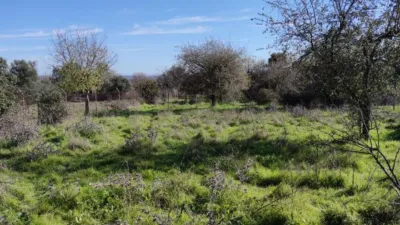 Rustic farm on Santa Bárbara Street photo 4
