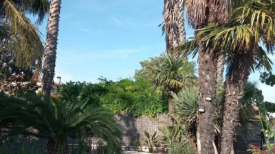 House in Catalonia photo 67