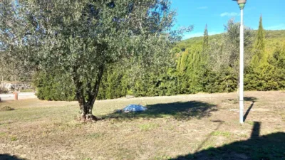 Casa en Ranxos de Bonany photo 38