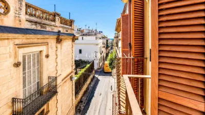 Apartment on Carrer de les Ànimes photo 3