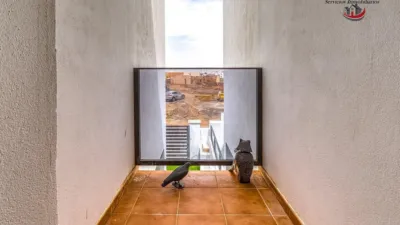 House on Calle de la Orilla photo 21