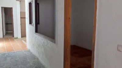 House in Oliva Nova photo 8