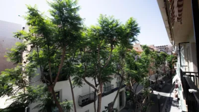 Apartment in Los Boliches photo 12
