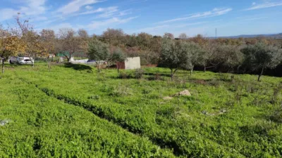 Rustic farm on Santa Bárbara Street photo 5