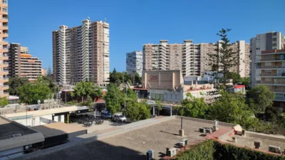 Apartment in Playa de San Juan photo 38