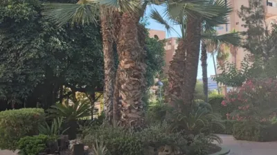 Apartment in Playa de San Juan photo 30