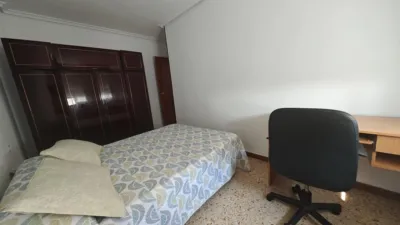 Apartment in Plaza de la Constitución photo 22