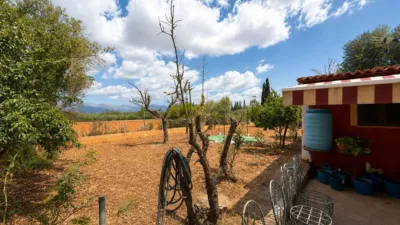 Rustic finca on Calle Diseminados Var photo 5
