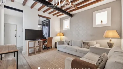 Apartment on Agustín Durán Street photo 3