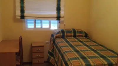 Apartment in Plaza de la Constitución photo 16
