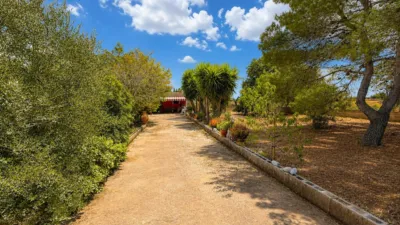 Rustic finca on Calle Diseminados Var photo 4