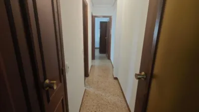 Apartment in Plaza de la Constitución photo 19