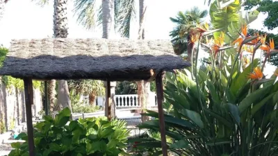 House in Catalonia photo 63