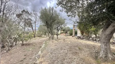 Chalet en calle Carrer Camino Can Muni photo 86