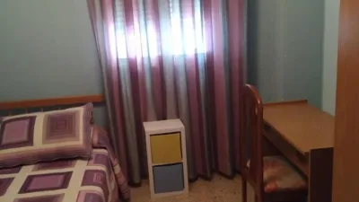 Apartment in Plaza de la Constitución photo 17