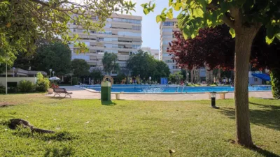 Apartment in Playa de San Juan photo 33