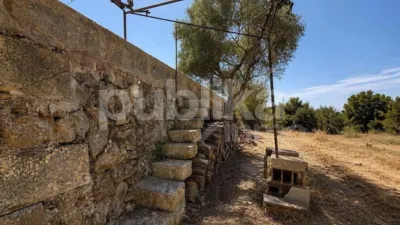 Rustic finca on Ctra Muro - Can Picafort - Muro road photo 3