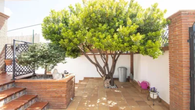 Chalet on Calle Fuente Encaña photo 51