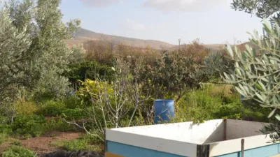 Rustic finca on Calle Majadilla photo 38