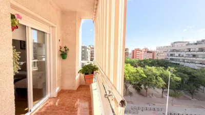 Piso – Elche/Elx, Hort de Montenegro, Urbanització Les Atzavares - Vista 5