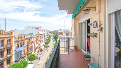 Flat on Calle San Jacinto photo 9