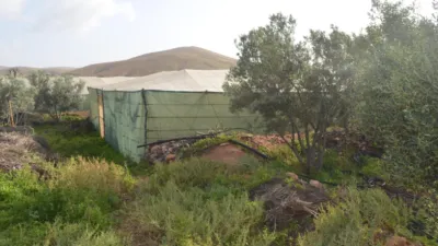 Rustic finca on Calle Majadilla photo 36