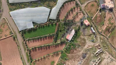 Rustic finca on Calle Majadilla photo 25