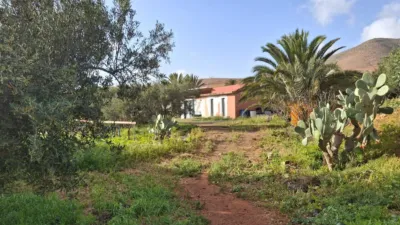 Rustic finca on Calle Majadilla photo 27