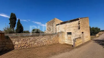 Rustic finca on Ctra Muro - Can Picafort - Muro road photo 16