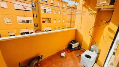 Apartment in Cortijo Vides photo 3