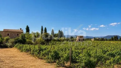 Rustic finca on Ctra Muro - Can Picafort - Muro road photo 10