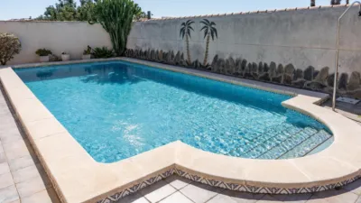 Chalet in Playa Flamenca photo 6