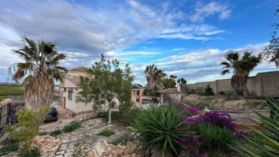 House on Pino El Street photo 4