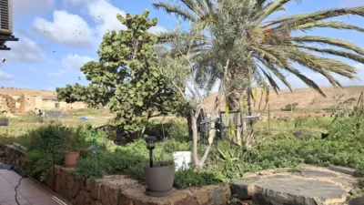Rustic finca on Calle Majadilla photo 29