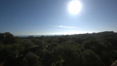 Pis – Guardamar del Segura - Vista 4