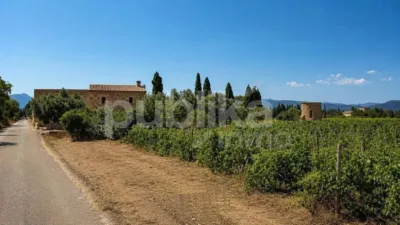 Rustic finca on Ctra Muro - Can Picafort - Muro road photo 9