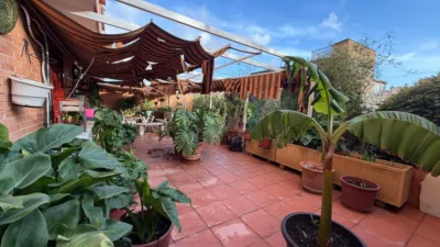 Apartment on Calle Elda, 3 photo 4