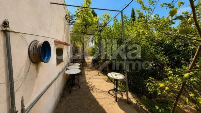 Rustic finca on Ctra Muro - Can Picafort - Muro road photo 7