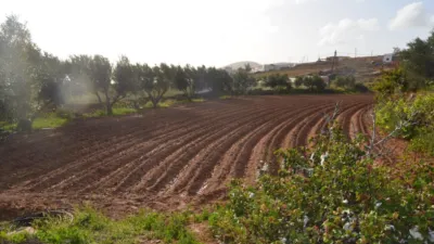 Rustic finca on Calle Majadilla photo 35