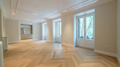 Apartment in Recoletos photo 3