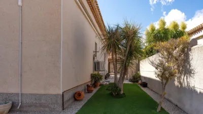 Chalet in Playa Flamenca photo 12