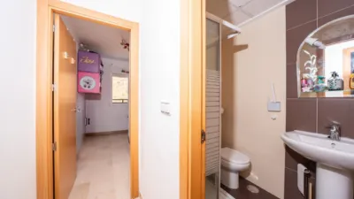 Penthouse on Calle Alcacil photo 15