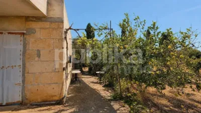 Rustic finca on Ctra Muro - Can Picafort - Muro road photo 6