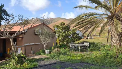 Rustic finca on Calle Majadilla photo 28