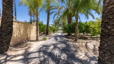 Chalet on Partida de La Hoya Street photo 65