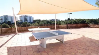 Apartment in Los Dolses photo 25
